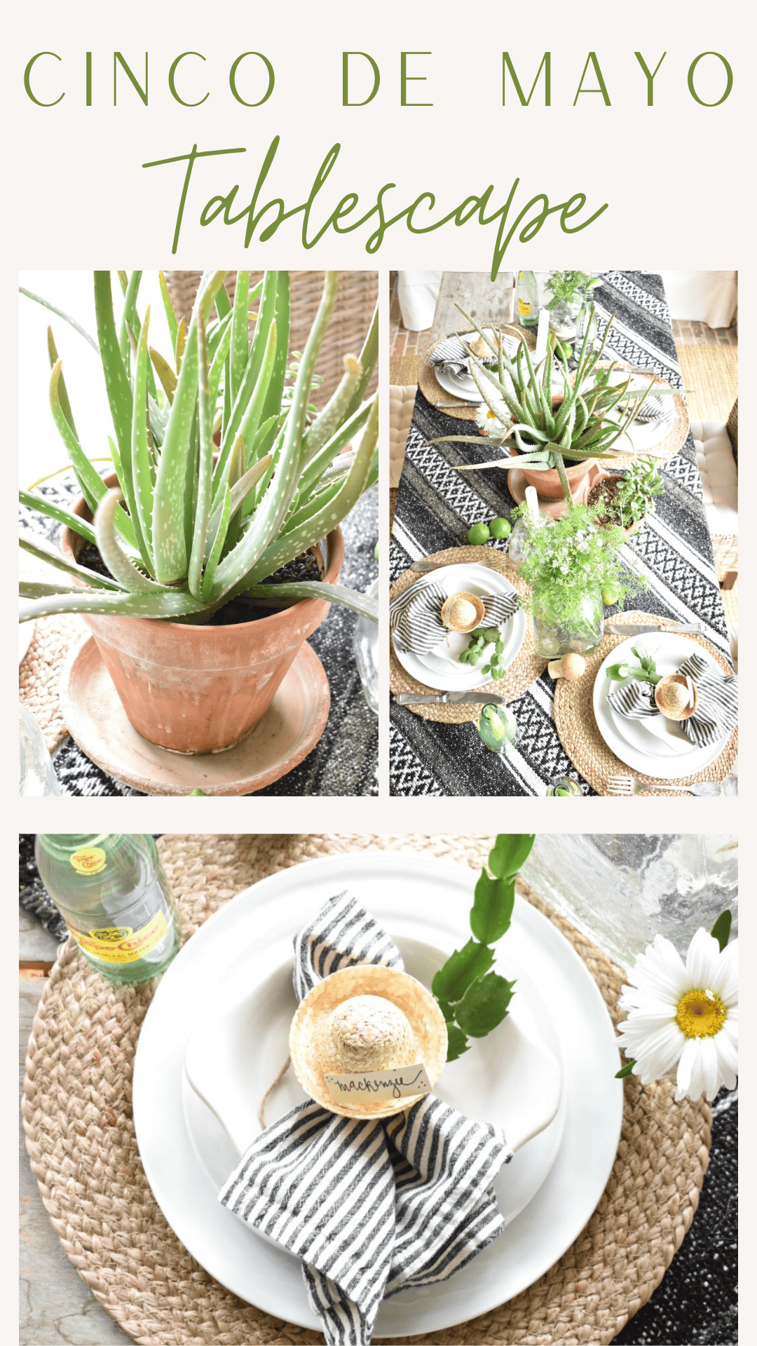 How to Create a Neutral Cinco de Mayo Tablescape: A woven table runner, potted aloe plants, striped napkins, mini flans on plates, green glass bottles, and fresh flowers set the stage for a festive yet earthy celebration.
