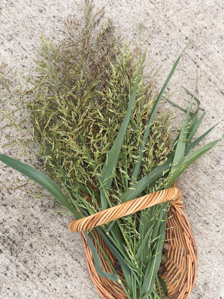 wicker basket of fall grasses 