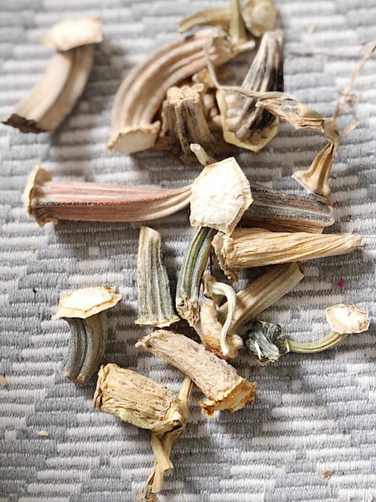 pile of real pumpkin stems laying on a gray fabric