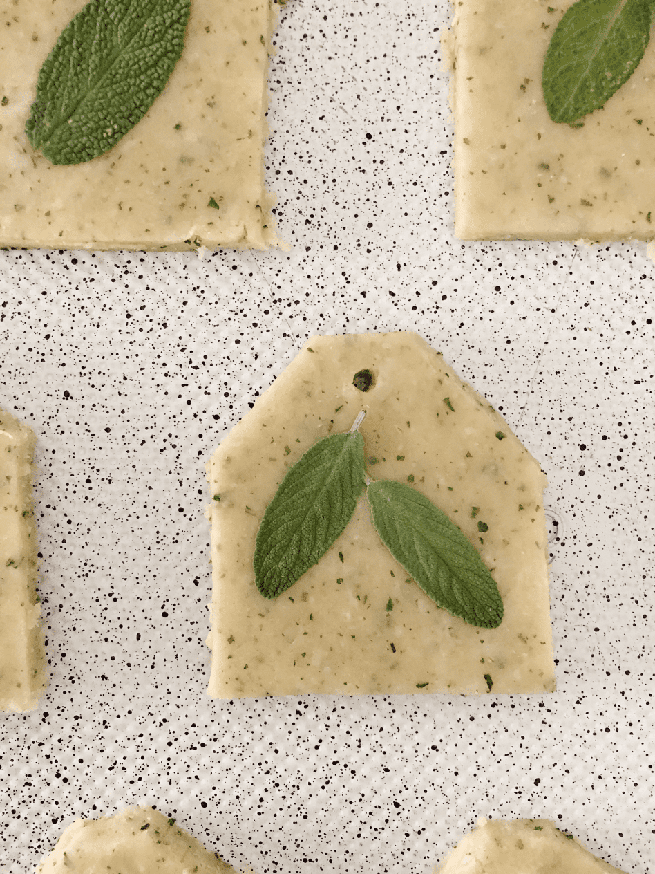 parmesan rosemary shortbread cracker cut into tea bag shape with fresh sage leaf on top laying on white baking sheet