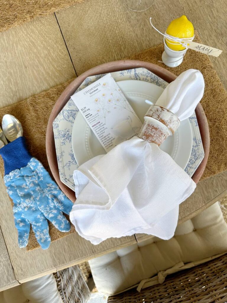 terra cotta plant tray with blue & white plate layered with white salad plate sitting on coir placemat white napkin with tiny terra cotta pot napkin ring and seed packet beside on top of plate and blue garden glove holding silverware