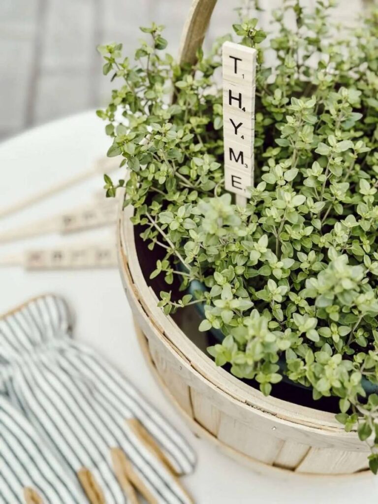 herb markers made with scrabble tiles sticking in thyme plant