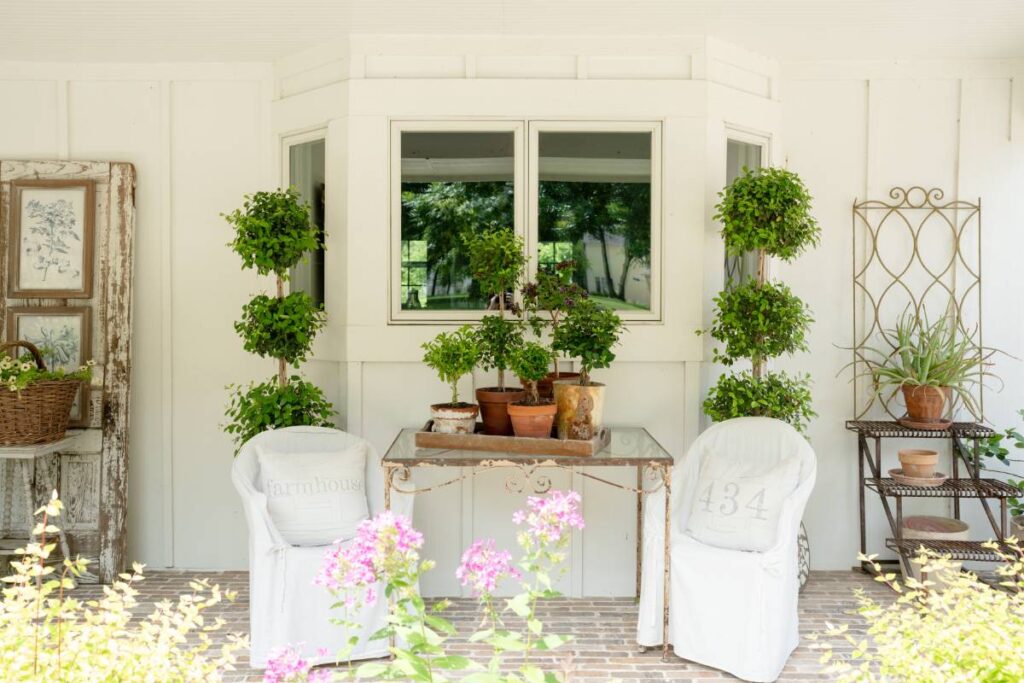 2 white slipcovered chairs on front porch with a tall topiary behind each chair vintage glass top table between chairs with collection of live topiaries on table