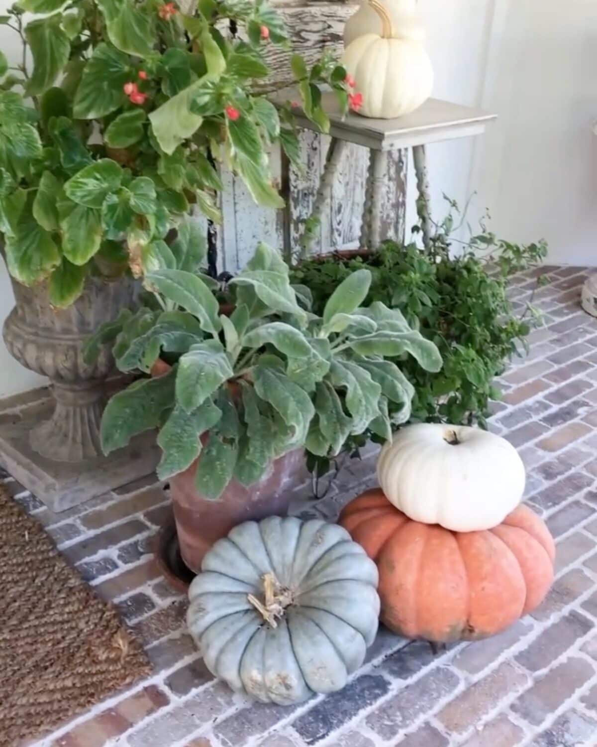 A cozy autumn porch showcases various pumpkins, including grey, white, and orange ones, artfully arranged on a brick floor. Behind them sit potted green plants and a rustic wooden table with more pumpkins. This festive fall atmosphere highlights how you can change from summer to fall on a budget.