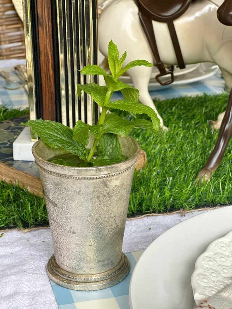 silver mint julep cup with fresh mint sprig