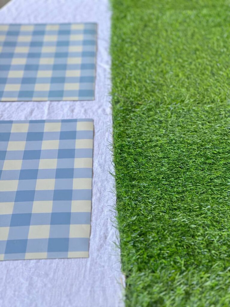 faux grass table runner and blue and white check placemats