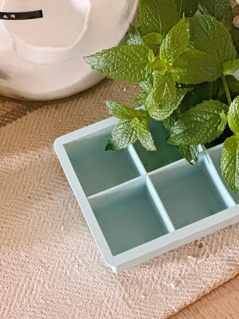 square silicone ice cube tray for making lemonade ice cubes