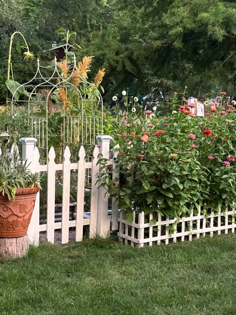 flower cutting garden