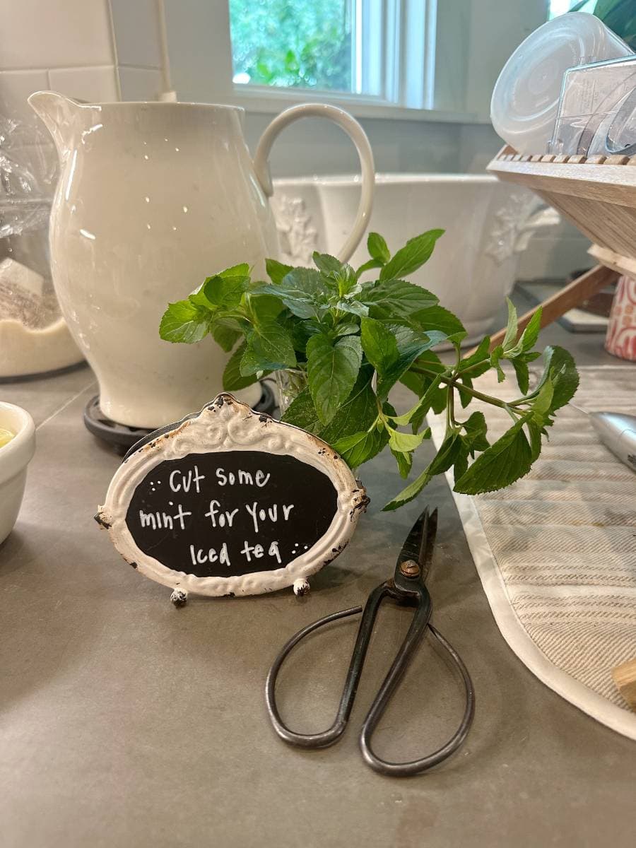 vase of mint and a sign to cut a piece for iced tea