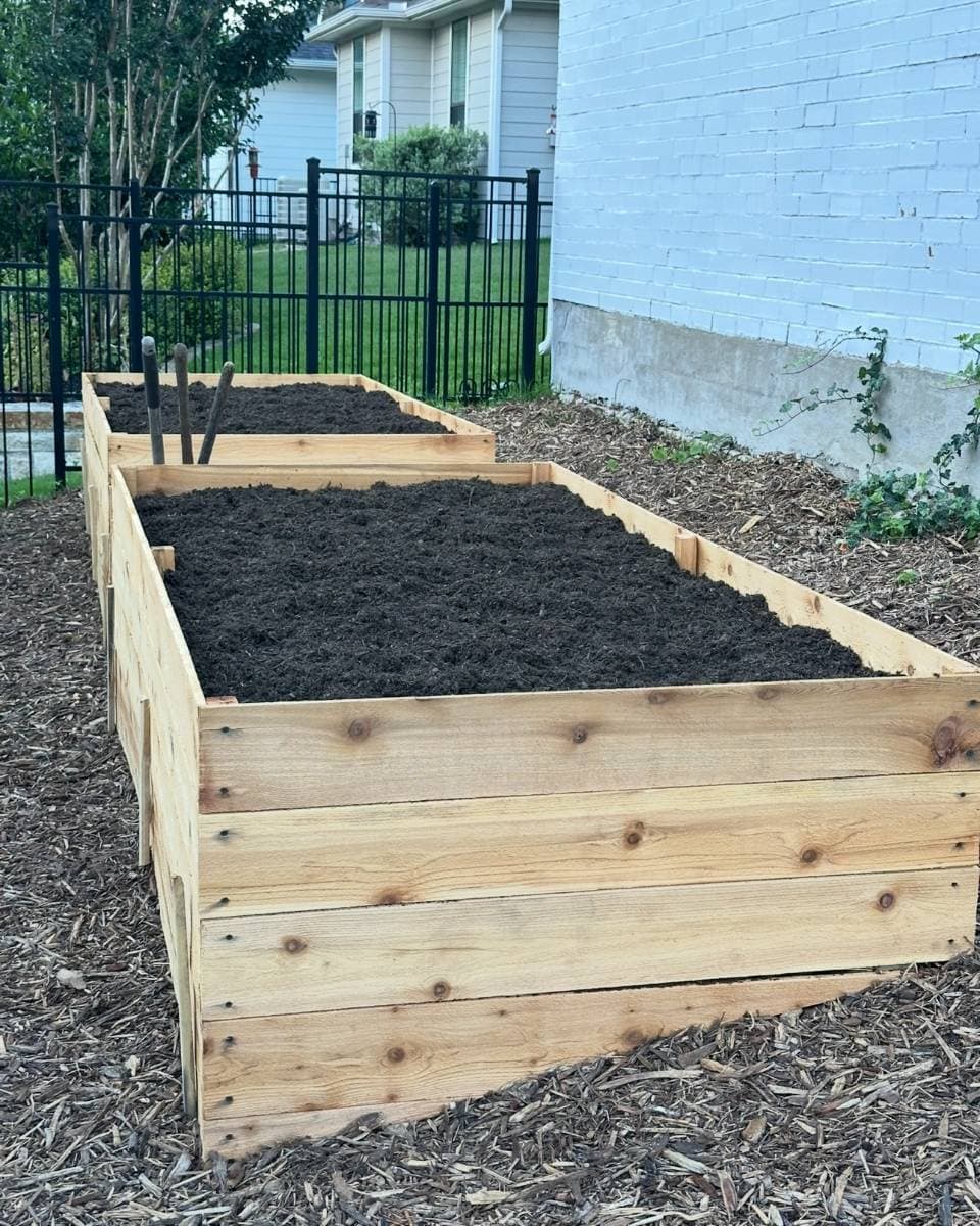 Two wooden raised garden beds filled with soil sit on a mulched area beside a light blue house, perfect for outdoor spaces. Garden tools with wooden handles rest in the soil, framed by a black metal fence and lush greenery in the background.