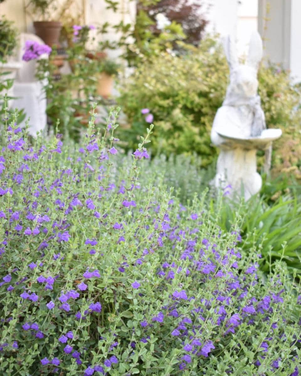 A garden filled with lush green plants and purple flowers, perfect for an Outdoor Spaces Summer Home Tour, with a white rabbit statue wearing a scarf nestled among the foliage in the background.