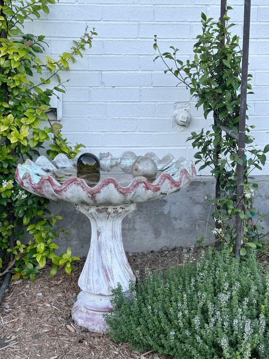 A weathered, white and pink birdbath stands in a garden bed next to a white brick wall, surrounded by green plants and shrubbery—perfect for an Outdoor Spaces Summer Home Tour. Spherical objects rest inside the birdbath’s basin.