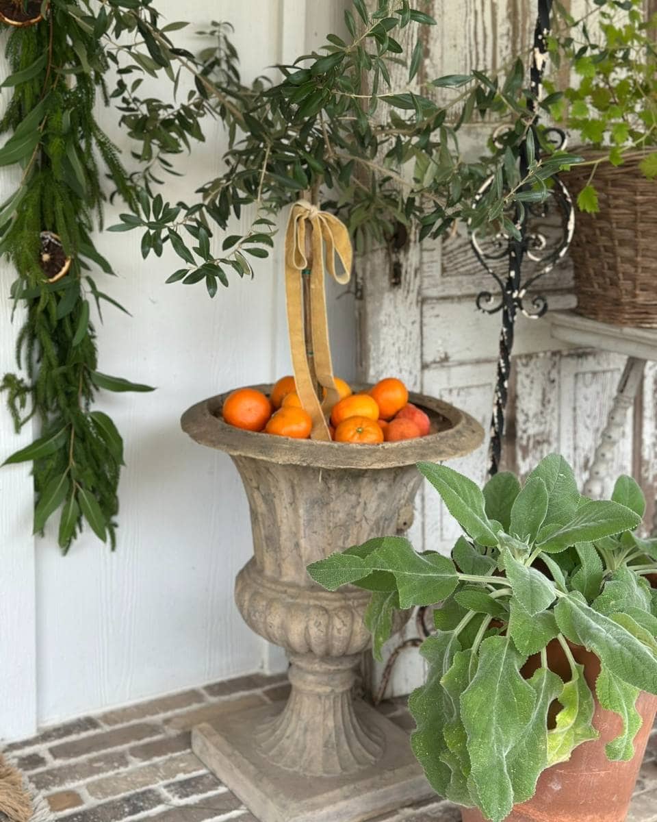A stone urn filled with oranges and persimmons stands on a brick floor. An olive branch with a yellow ribbon is placed in the urn. Green foliage and a terracotta plant pot sit nearby on a rustic porch.