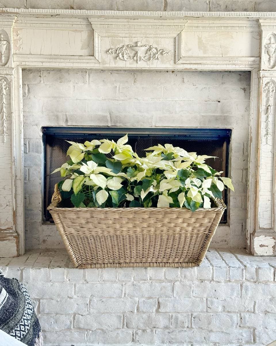 A wicker basket filled with white poinsettias sits in front of a white-painted brick fireplace with a distressed, ornate mantel.
