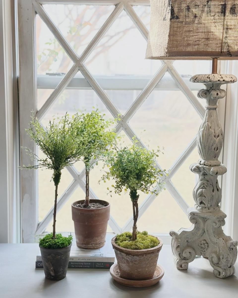 Three potted topiary plants sit on a white table by a window with a diamond pattern, adding a touch of natural charm to the home. A vintage lamp with a beige shade stands beside them. Light streams through the window, creating a cozy, bright setting.