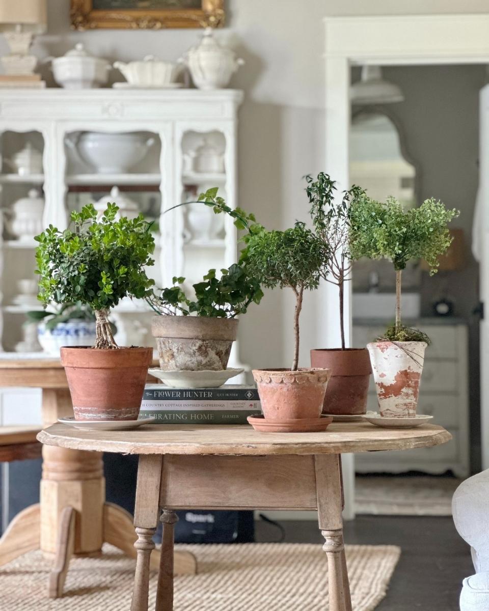 Five potted plants on a round wooden table bring a touch of nature to the home; books are stacked beneath one pot for added charm. In the background, a white hutch displays assorted dishes and decor. The room has a cozy, rustic feel with neutral tones and soft lighting.
